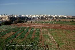 Image du Maroc Professionnelle de  Azemmour, selon les historiens, son nom serait d'origine Amazigh, située sur la rive de l'Oum Er-Rabia, elle est surnommée la ville de Moulay Bouchaïb. Cette ville millénaire, dont les murailles laissées par les portugais sont classées Monuments Historique. Samedi 10 Avril 1999. (Photo / Abdeljalil Bounhar)